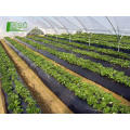 Chinese manufacturing quality wholesale price Plastic greenhouse film agriculture biodegradation